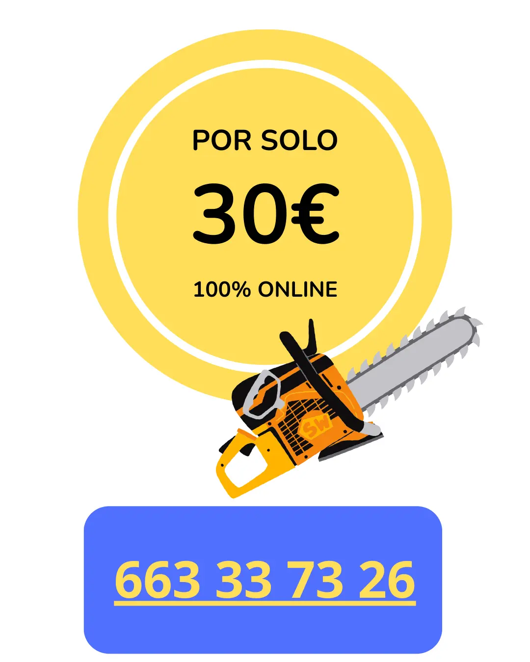 precio curso motosierra online