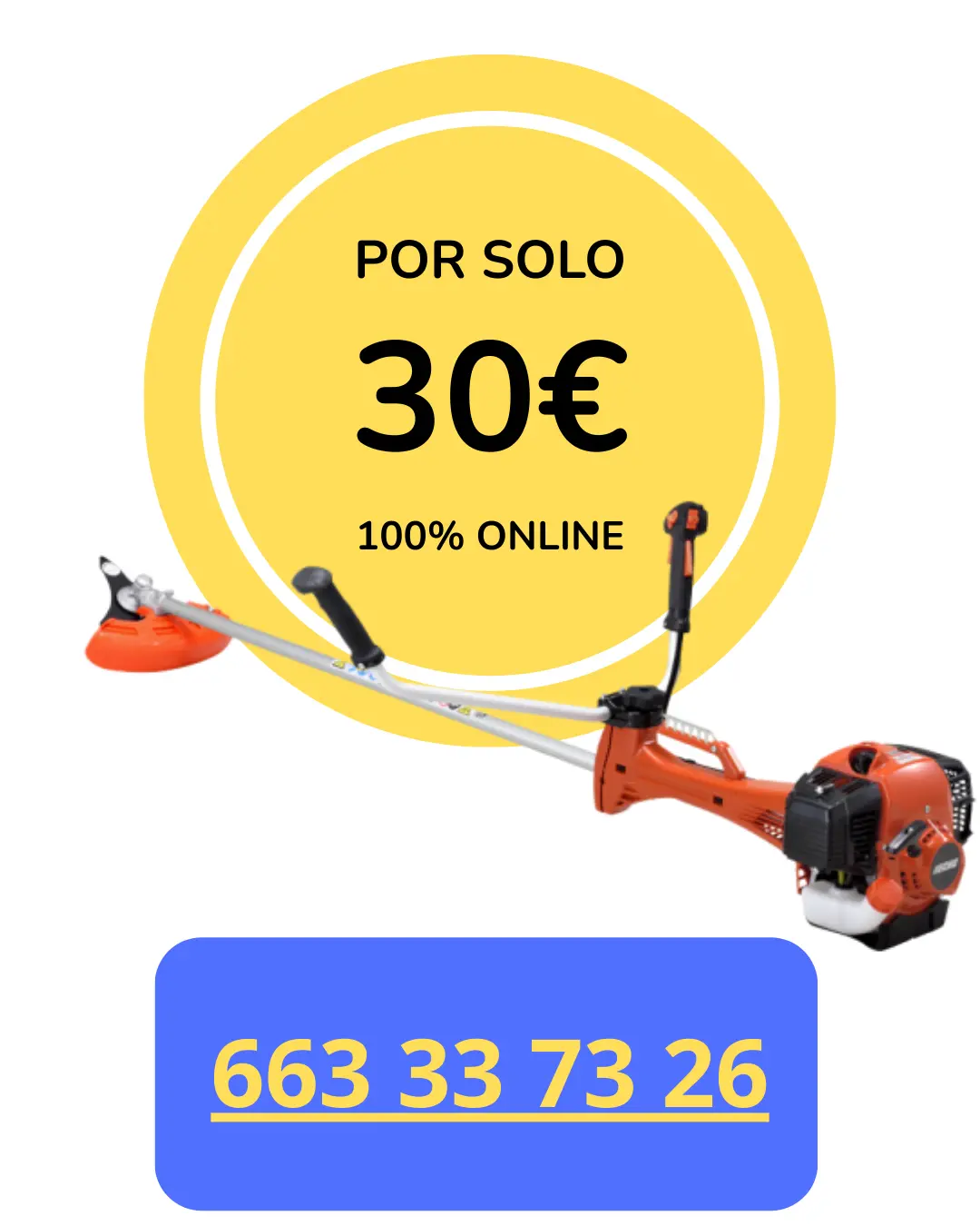 precio-curso-desbrozadora-online curso desbrozadora online